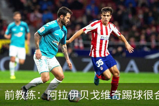 前教练：阿拉伊贝戈维奇踢球很合理，求胜欲也强无法接受失败