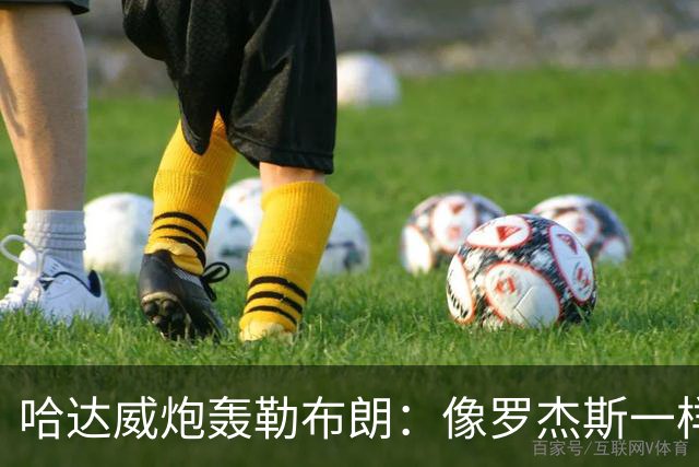 哈达威炮轰勒布朗：像罗杰斯一样拖着决定耗流量 莱利或笑到最后
