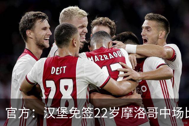 官方：汉堡免签22岁摩洛哥中场比拉勒-纳迪尔