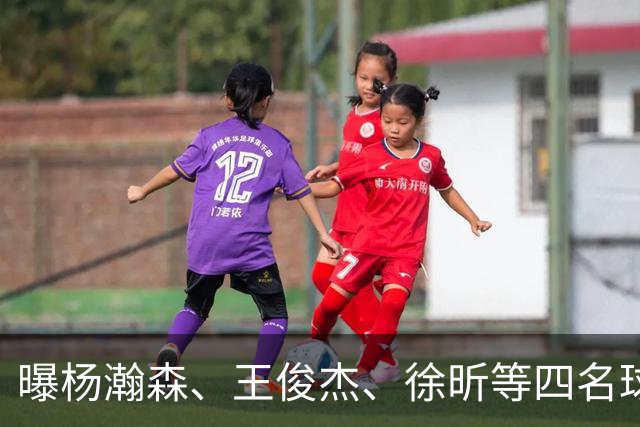 曝杨瀚森、王俊杰、徐昕等四名球员将离队！中国男篮7月13日再次开启集训