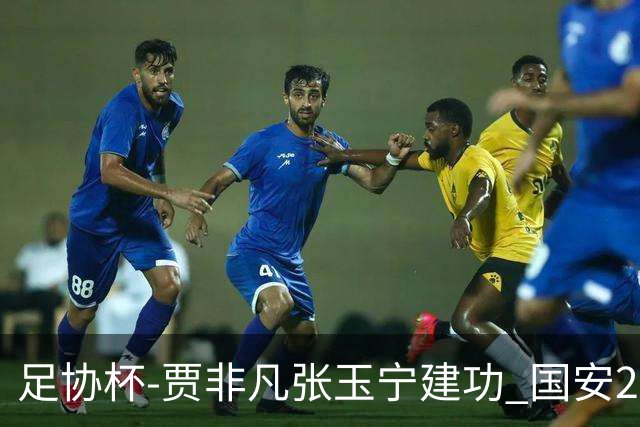 足协杯-贾非凡张玉宁建功 国安2-1大连可为晋级8强