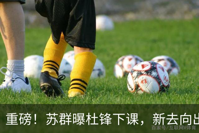 重磅！苏群曝杜锋下课，新去向出炉，球迷喊话杨鸣接手，能行吗？
