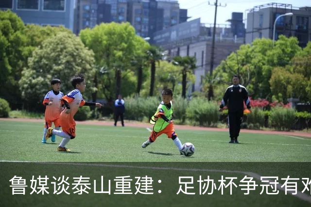 鲁媒谈泰山重建：足协杯争冠有难度 换帅引援都要对症下药